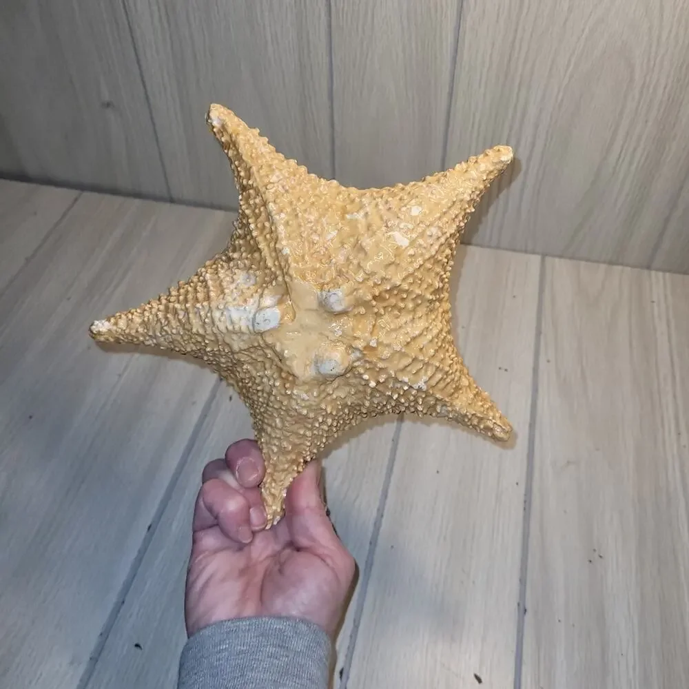 Vintage 70s Starfish Ashtray Beachy Catch All Dish Nautical Ocean Home Decor